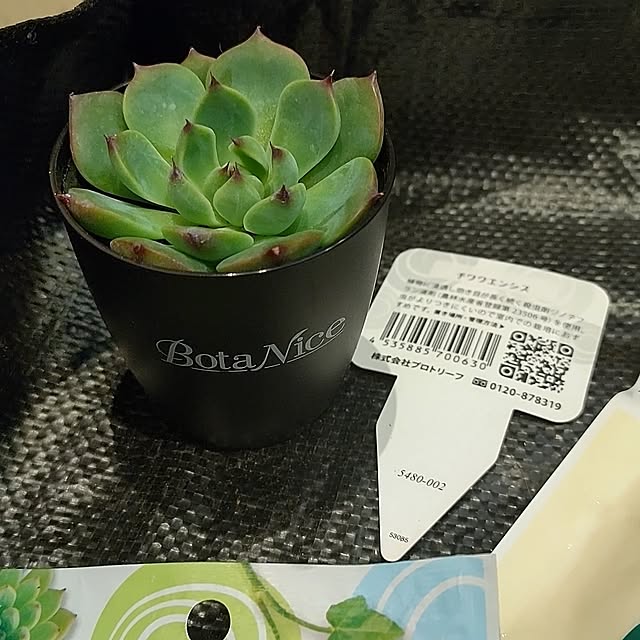 t.yumiさんの部屋