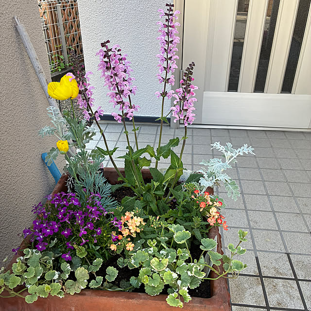 mamimamiさんの部屋