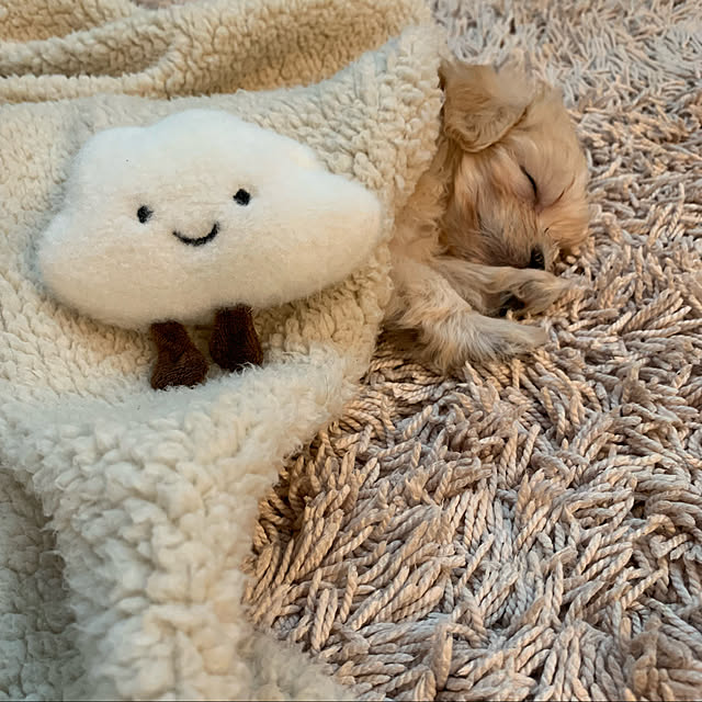 kana_homeさんの実例写真