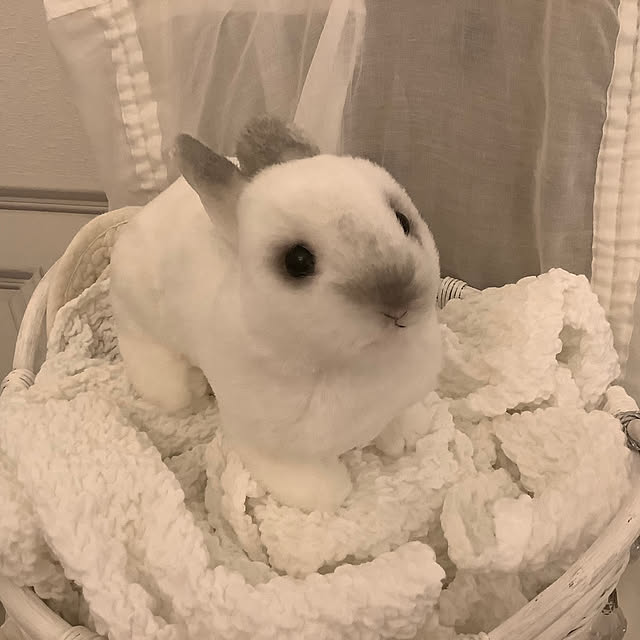 souyaさんの部屋