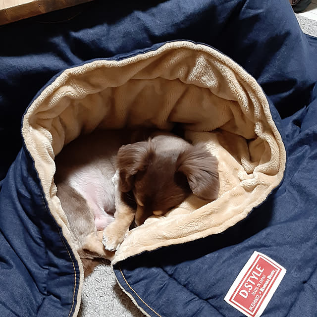 rikakoさんの実例写真