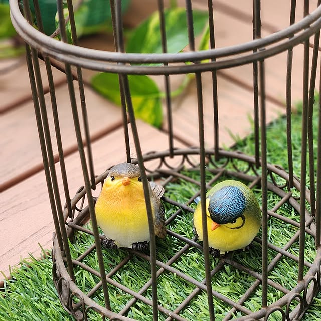 takoさんの部屋