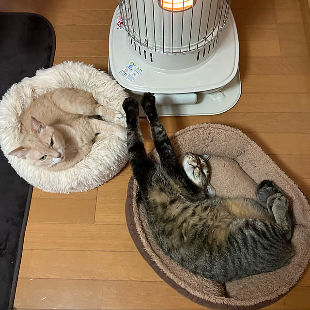 mikan161さんの実例写真