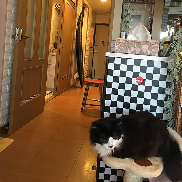 kanaさんの実例写真