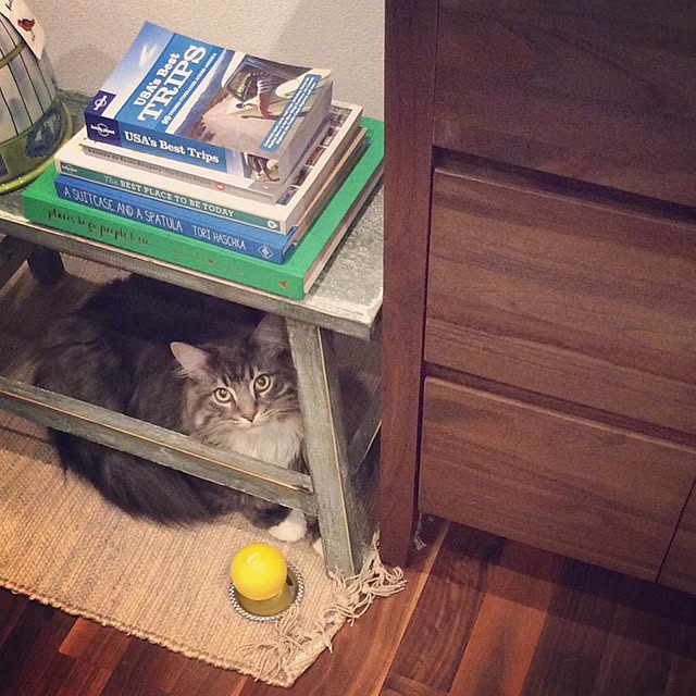 Amyさんの実例写真