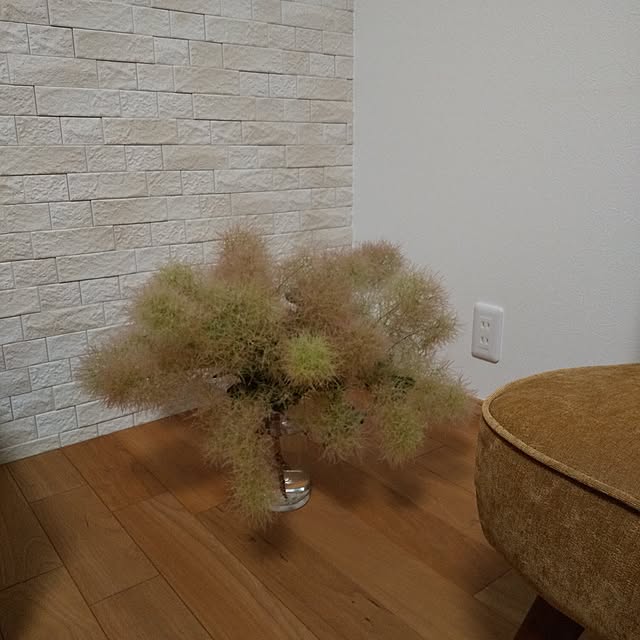 anemone37さんの部屋