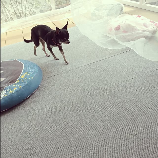Bienvenueさんの実例写真
