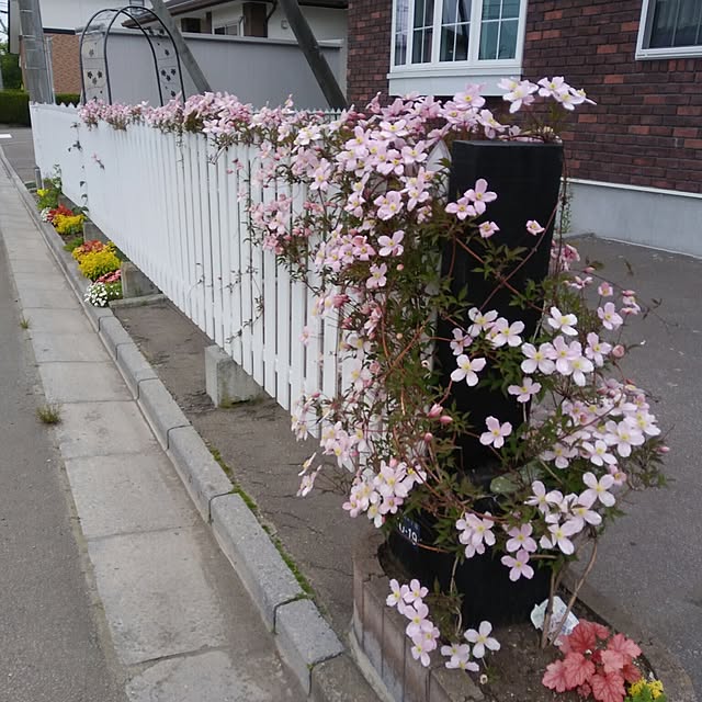 usagiさんの実例写真