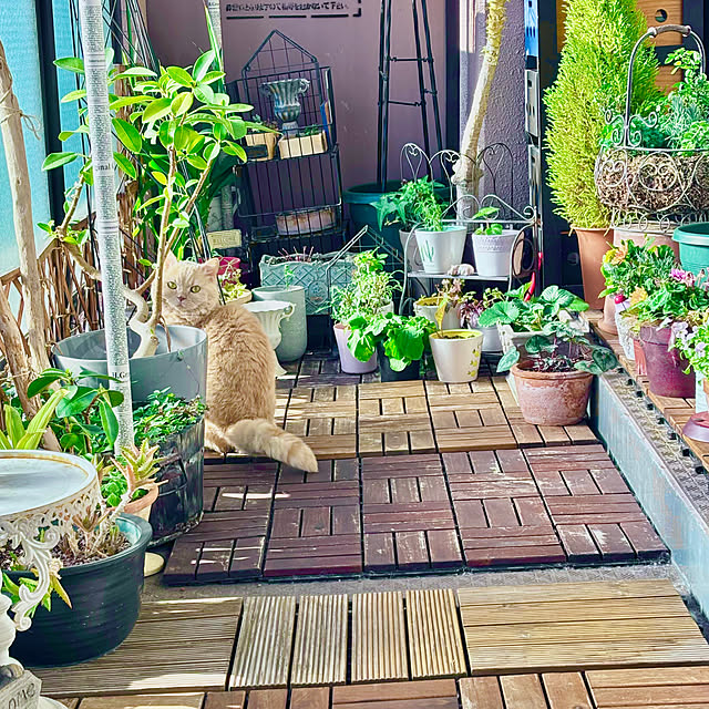 naokoさんの部屋