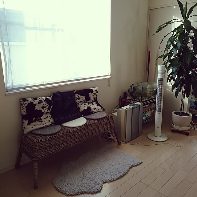 stu.syu.shoさんの実例写真