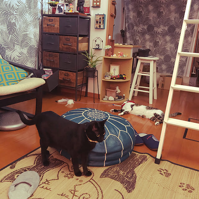 jijiさんの実例写真