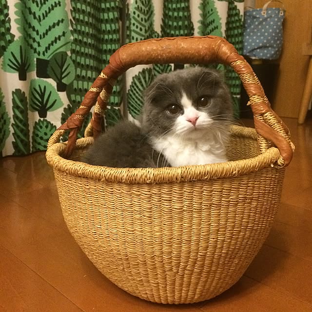 natsukinokoさんの実例写真