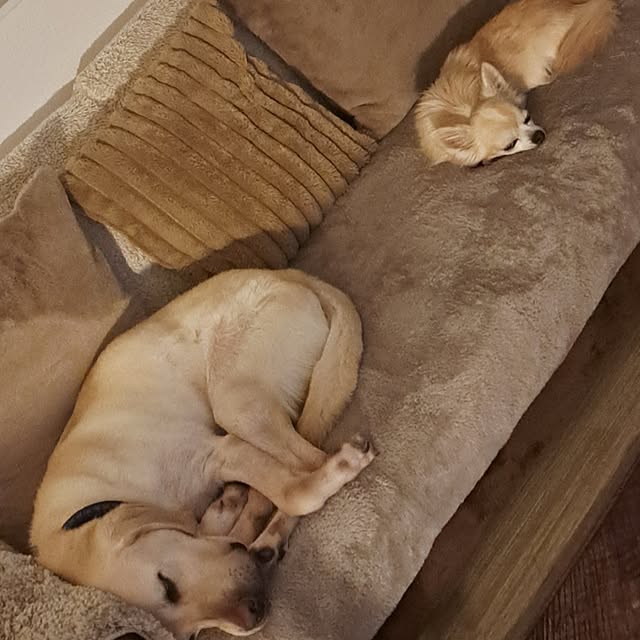 mihiroさんの実例写真