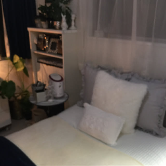 Satomiさんの実例写真