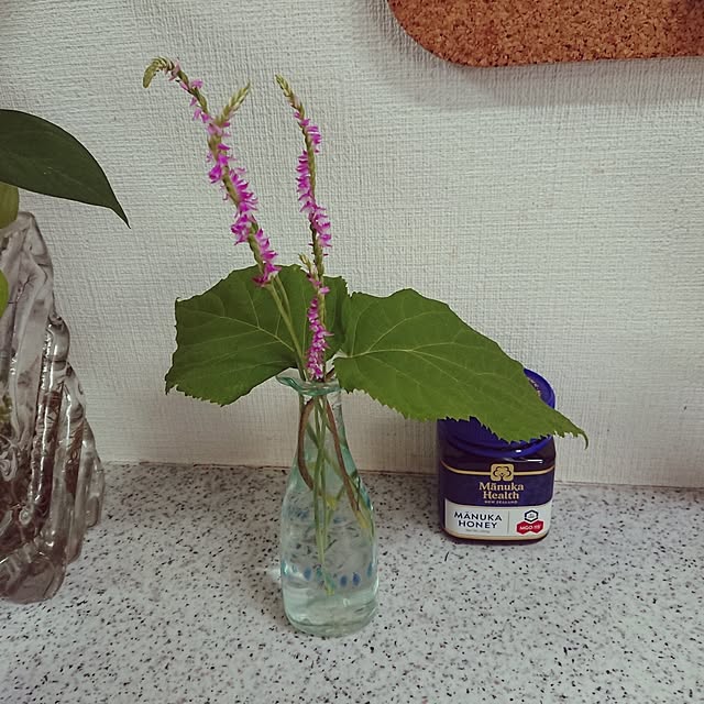 hopkeiさんの実例写真