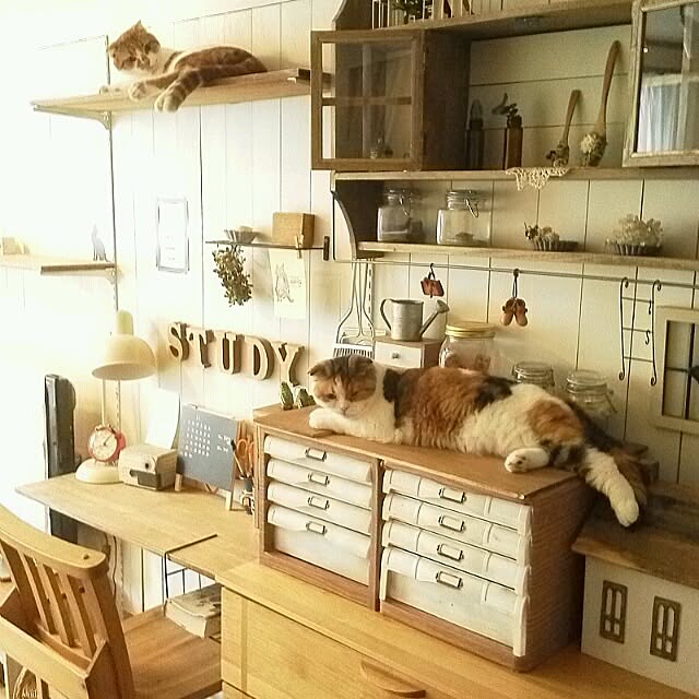 mikiさんの実例写真