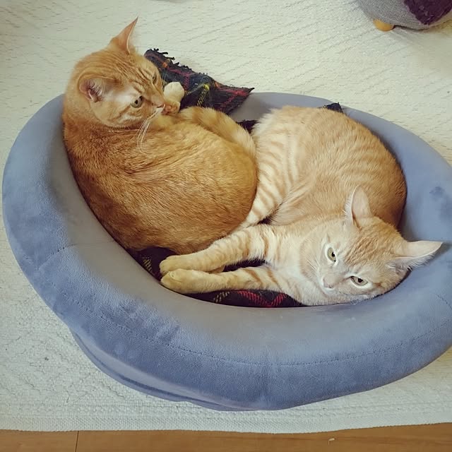 mayutan.さんの実例写真