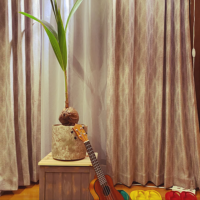 tataranさんの実例写真