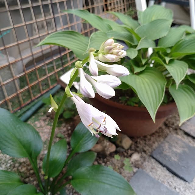 Bienvenueさんの部屋