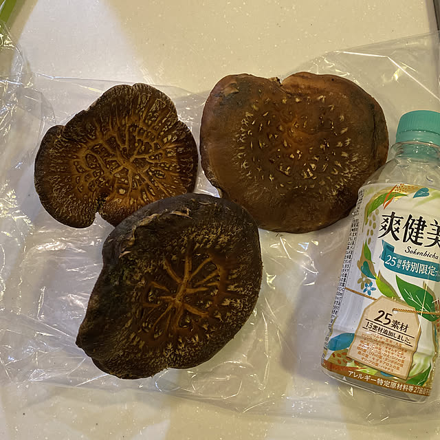 KotarouKunさんの実例写真