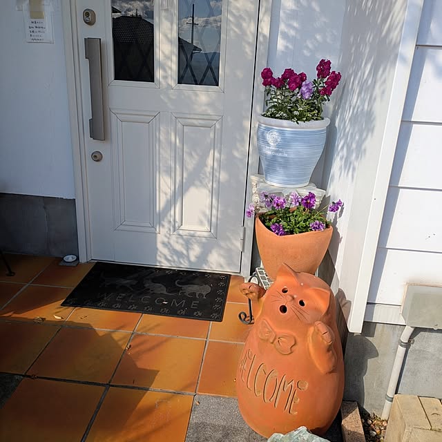 kikufujiさんの部屋