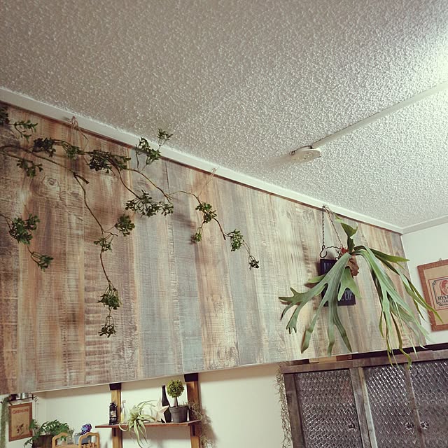 Kaさんの実例写真