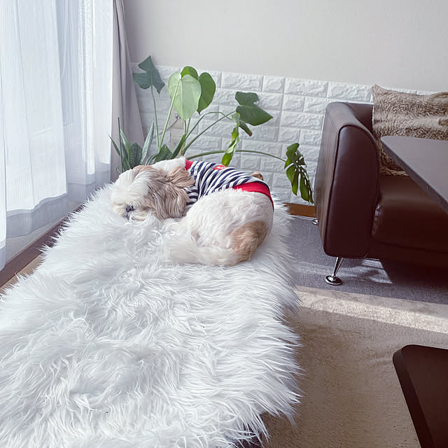 my_homeさんの実例写真