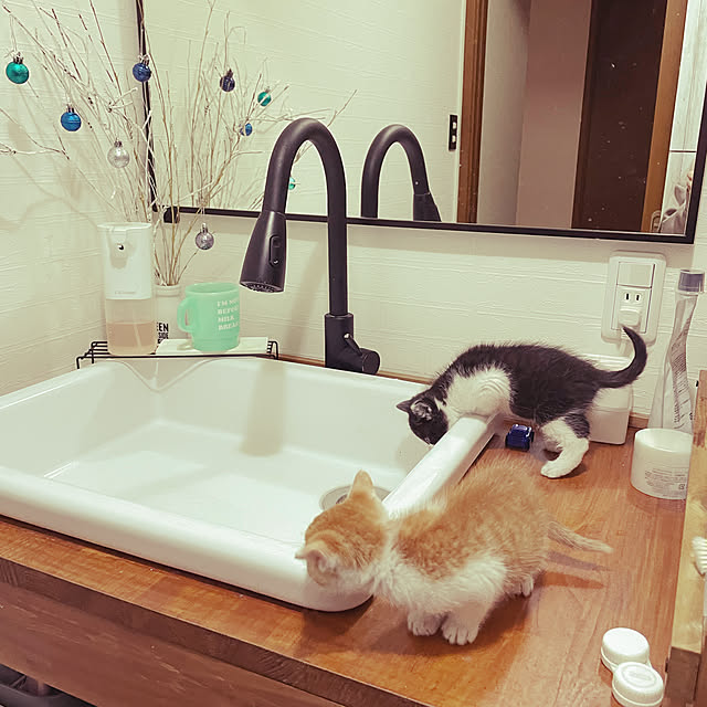s.nikoさんの実例写真