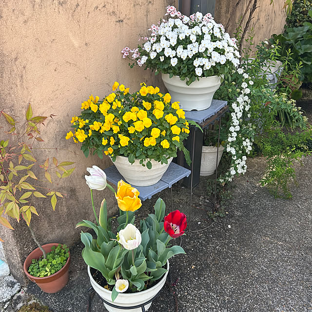 fumikoiさんの実例写真