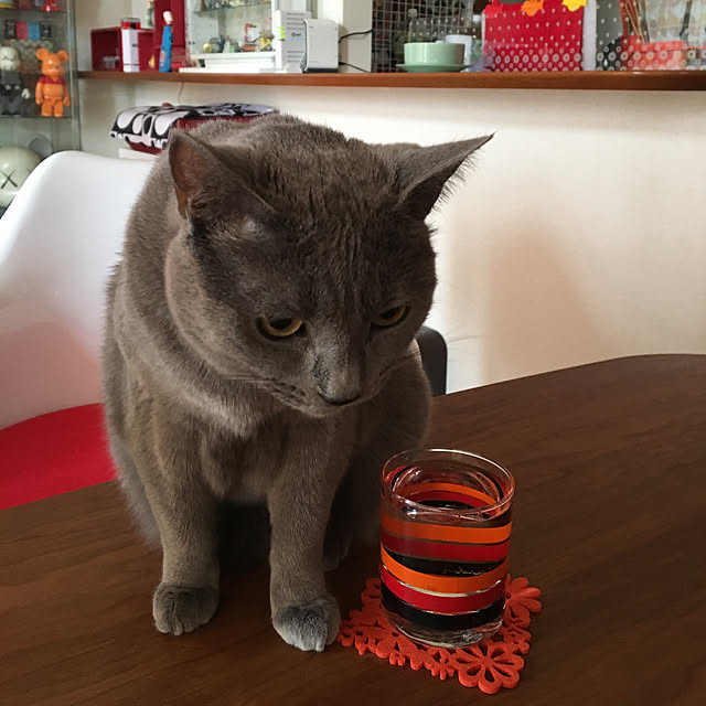 ikettenさんの実例写真