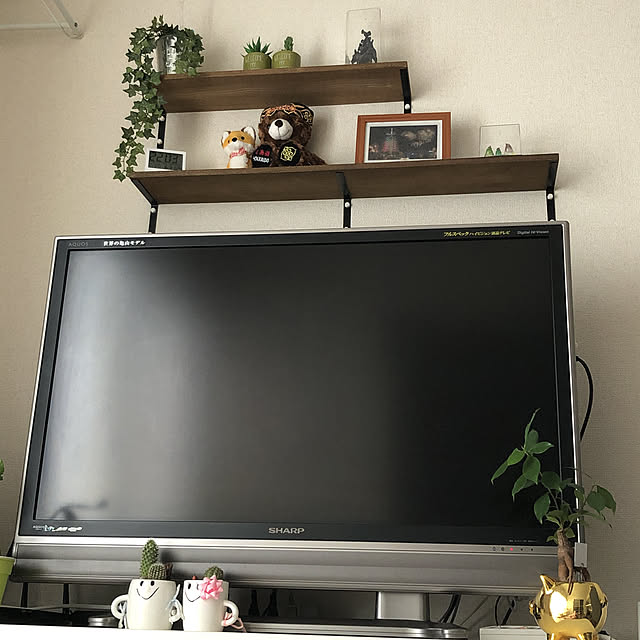 Kazuさんの実例写真