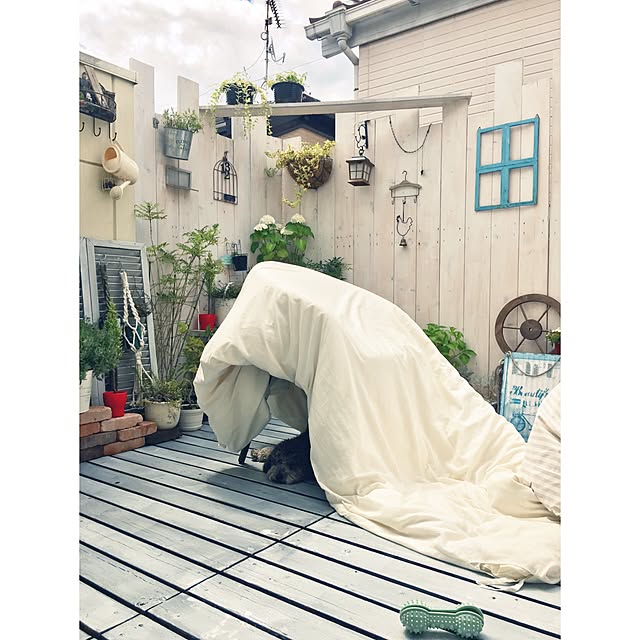 makoriさんの実例写真