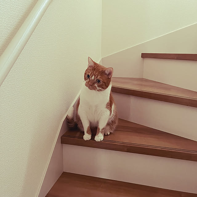 Akiさんの実例写真