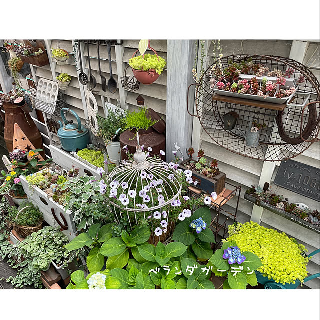 kurumichocoさんの実例写真