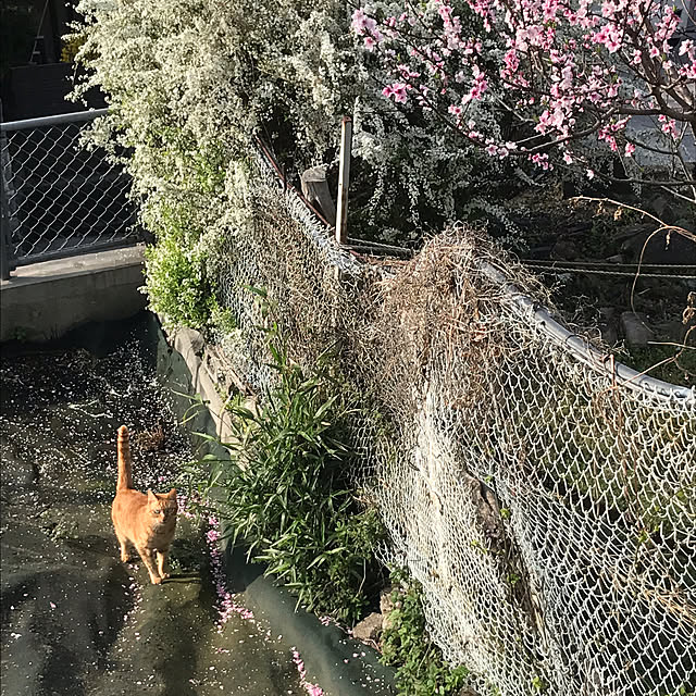 kou-kitiさんの実例写真