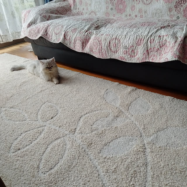 makaronさんの実例写真