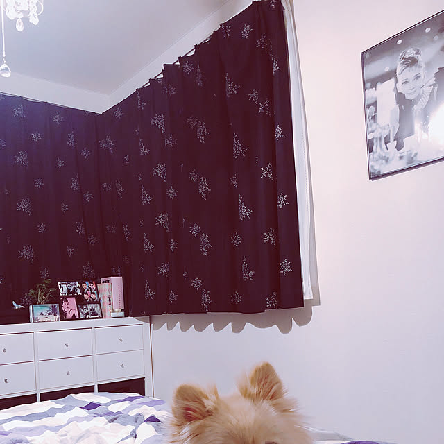 Yukoさんの実例写真