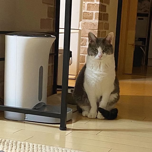 yuasa_primusさんの実例写真