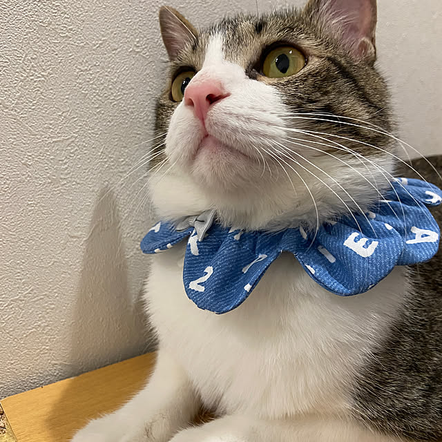 arashi530さんの部屋