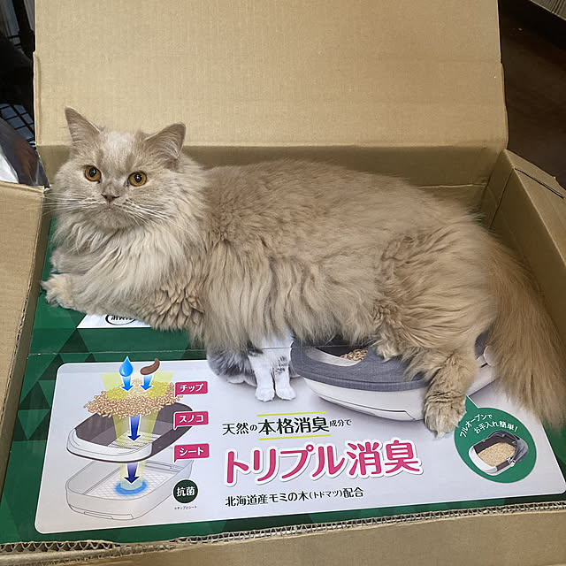 r.t.mamaさんの実例写真