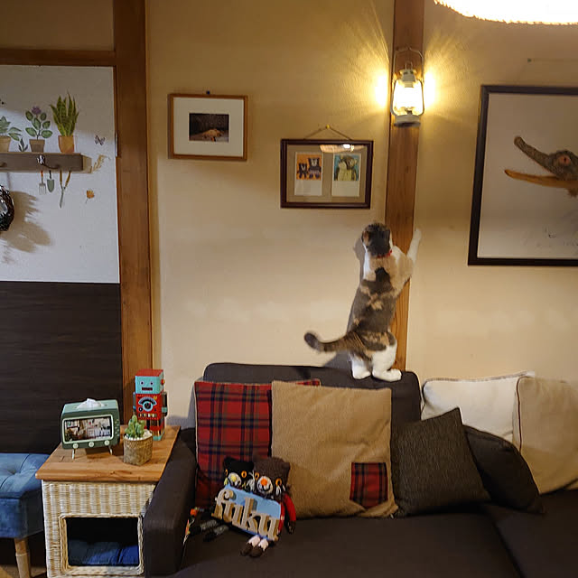 fukuさんの実例写真