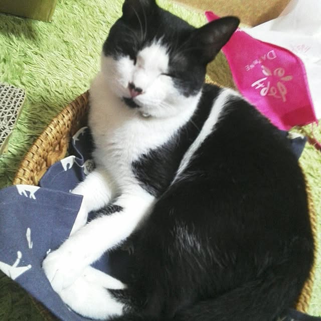 lucyさんの実例写真