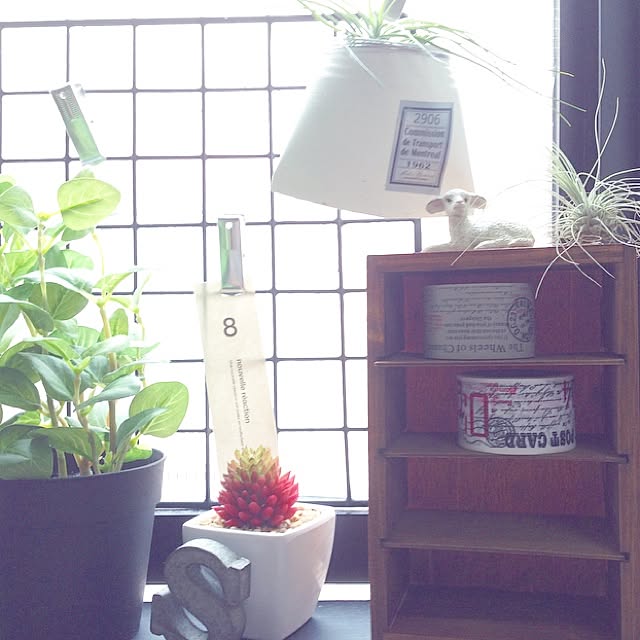 kiki_nekkoさんの実例写真