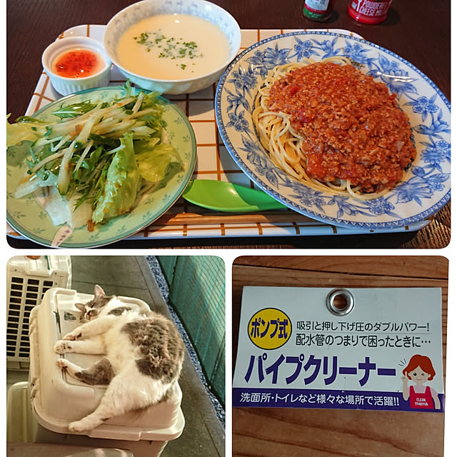 実例写真