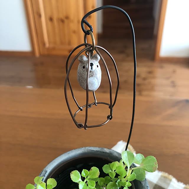 yukkoさんの部屋