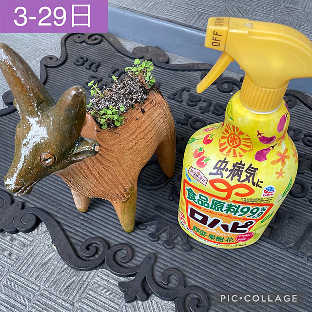 aureaさんの実例写真