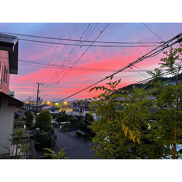 Yumiさんの実例写真