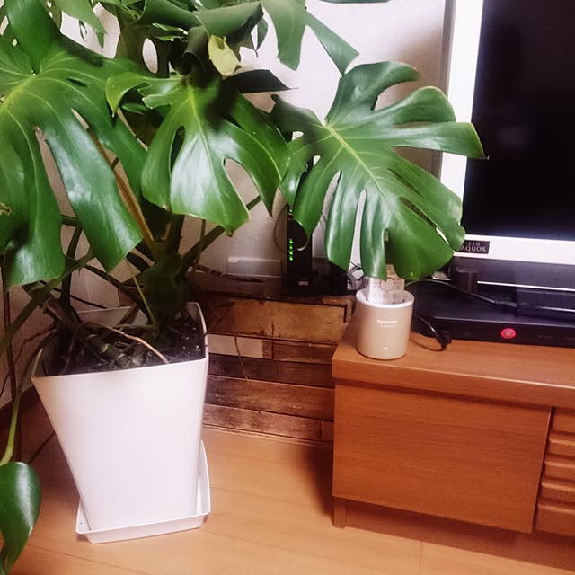pitan321さんの実例写真