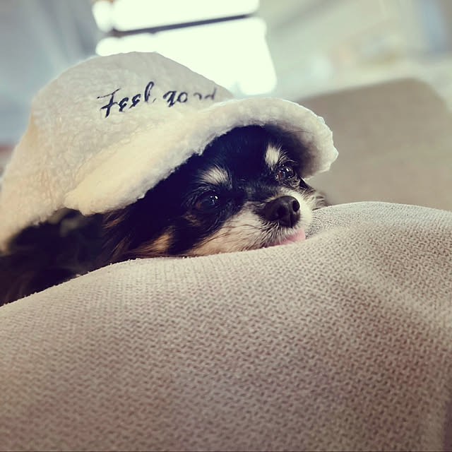 cocoさんの実例写真