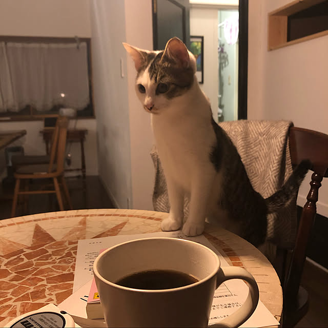 a.f.さんの実例写真
